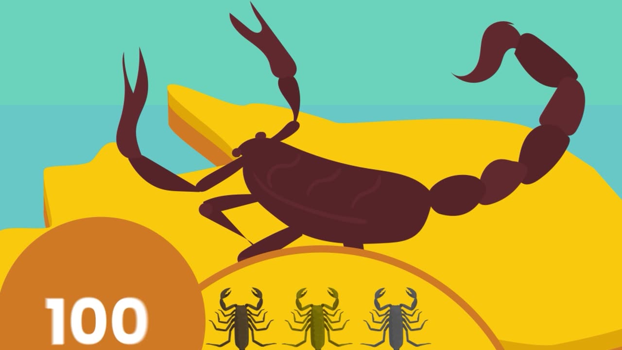 How Dangerous Is Australia Really? Scorpions
