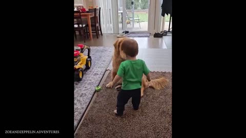 When Your Dog Is The Perfect Big Brother By Baby’s Side❤️ Funny Pet's Life