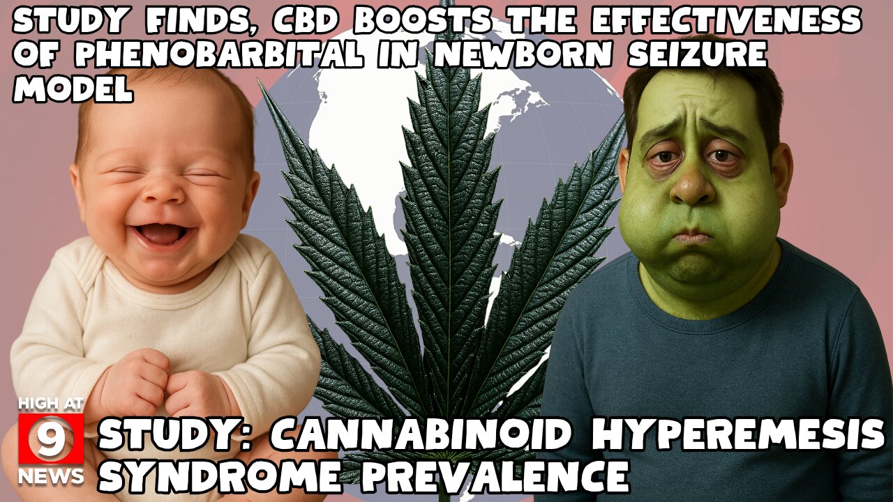 Therapeutic Use of Cannabis and Cannabinoids