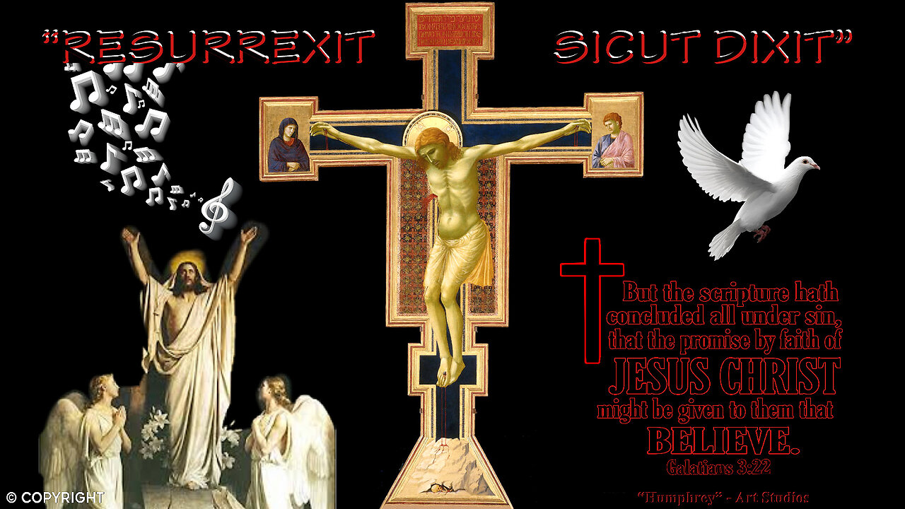 “AUGURO A TUTTI UNA SANTA PASQUA!! SE SIAMO STATI -IN MOLTI- 🛑'SOFFERENTI, VILIPESI E MALTRATTATI CON CRISTO', INSIEME A LUI RISORGEREMO IN UNA NUOVA, ORMAI PROSSIMA PRIMAVERA!!” ===/L'IMMACOLATA VINCERÀ!!😇💖🙏\===