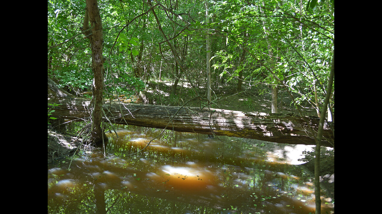213 acre Velasco Hunting Ranch For Sale, Clardy, Texas