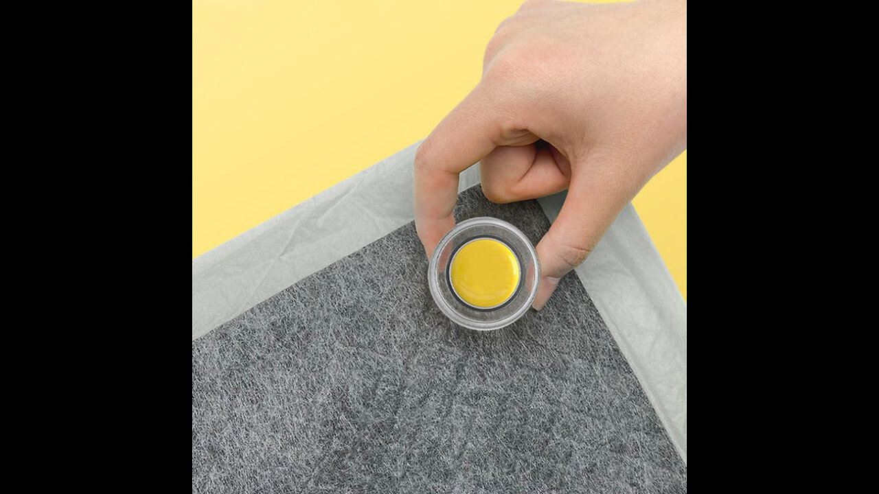 Pet Pee Pad Magnetic Fasteners (Set Of 2)
