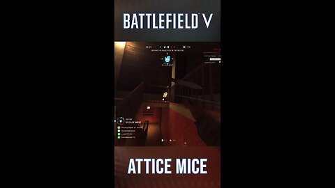 attic mice