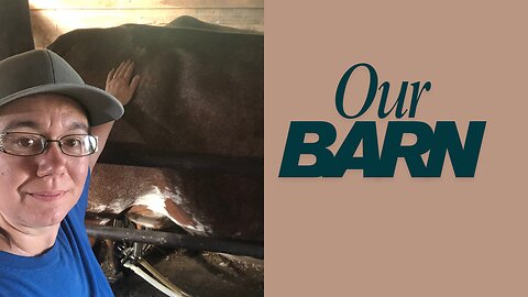 Morning Barn Chores