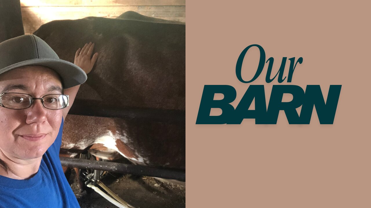 Morning Barn Chores