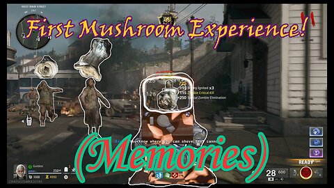 My First Mushroom Experience!