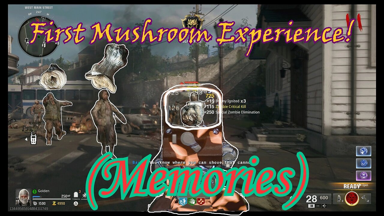 My First Mushroom Experience!
