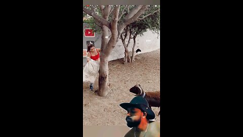 trynottolaugh part 64