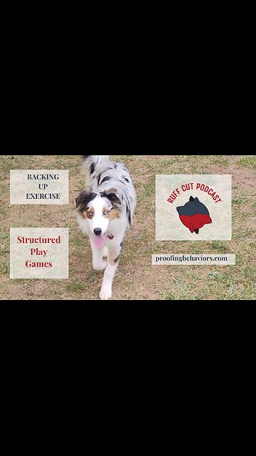 Structured Play Games Backing Up Exercise short 7