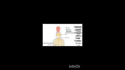 science quiz for children