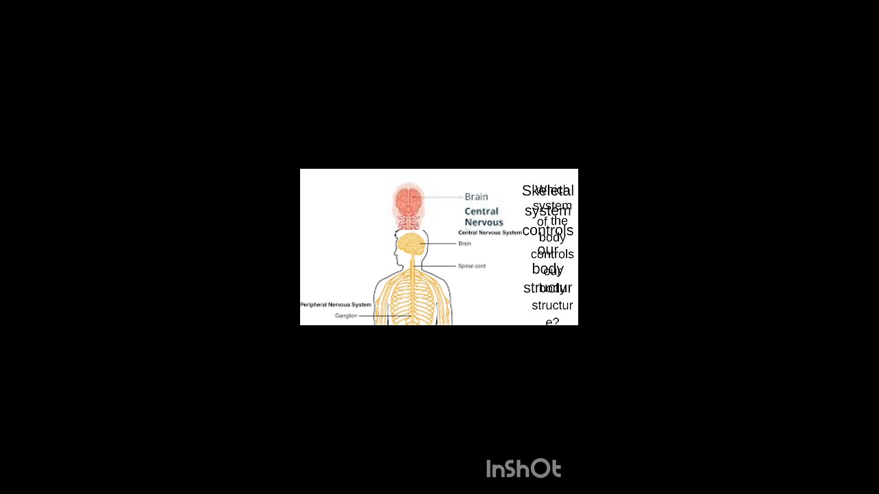 science quiz for children