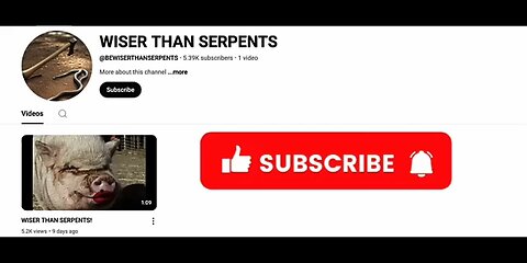 sub to A Call For an uprising new account "Wiser Than Serpents" YT