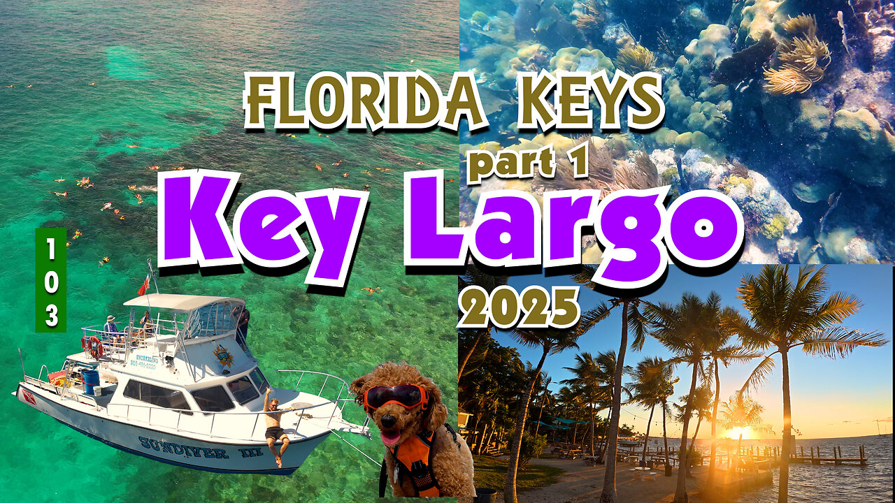 KEY LARGO - Florida Keys Part 1 - Snorkeling, Restaurants, & Lodging