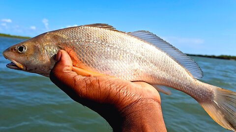 Sundarban fishing 🎣