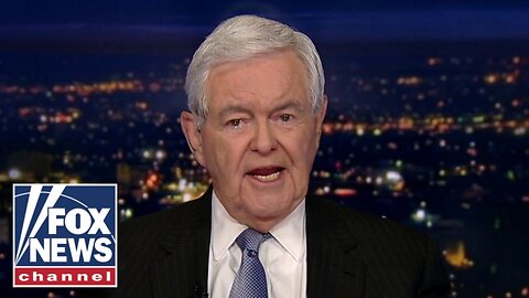 Newt Gingrich_ Dems are _out of touch with reality_