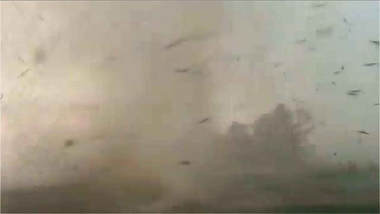 200 MPH Tornado Hits Storm Chasers Five Guts