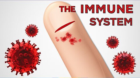 "How Your Immune System Fights Bacterial Infections – Explained Simply