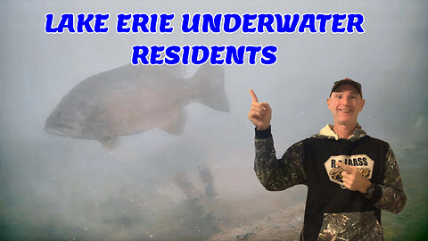 LAKE ERIE UNDERWATER RESIDENTS