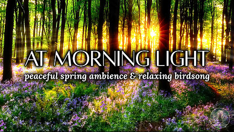 Peaceful Spring Ambience & Birdsong for Meditation & Relaxation 🌞🕊️🌸 | Sounds of Nature