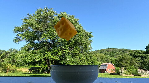Slow Motion Squishy Cheese Drop / Splash