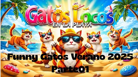 Funny Gatos Verano 2025 Parte01