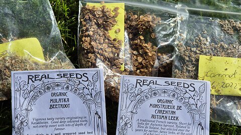 First Seeds in the Ground: Spring Gardening After the Equinox | Parsnips, Beetroot, Carrots & More!