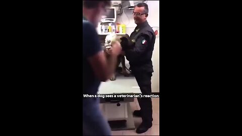 dog's reaction to seeing the vet