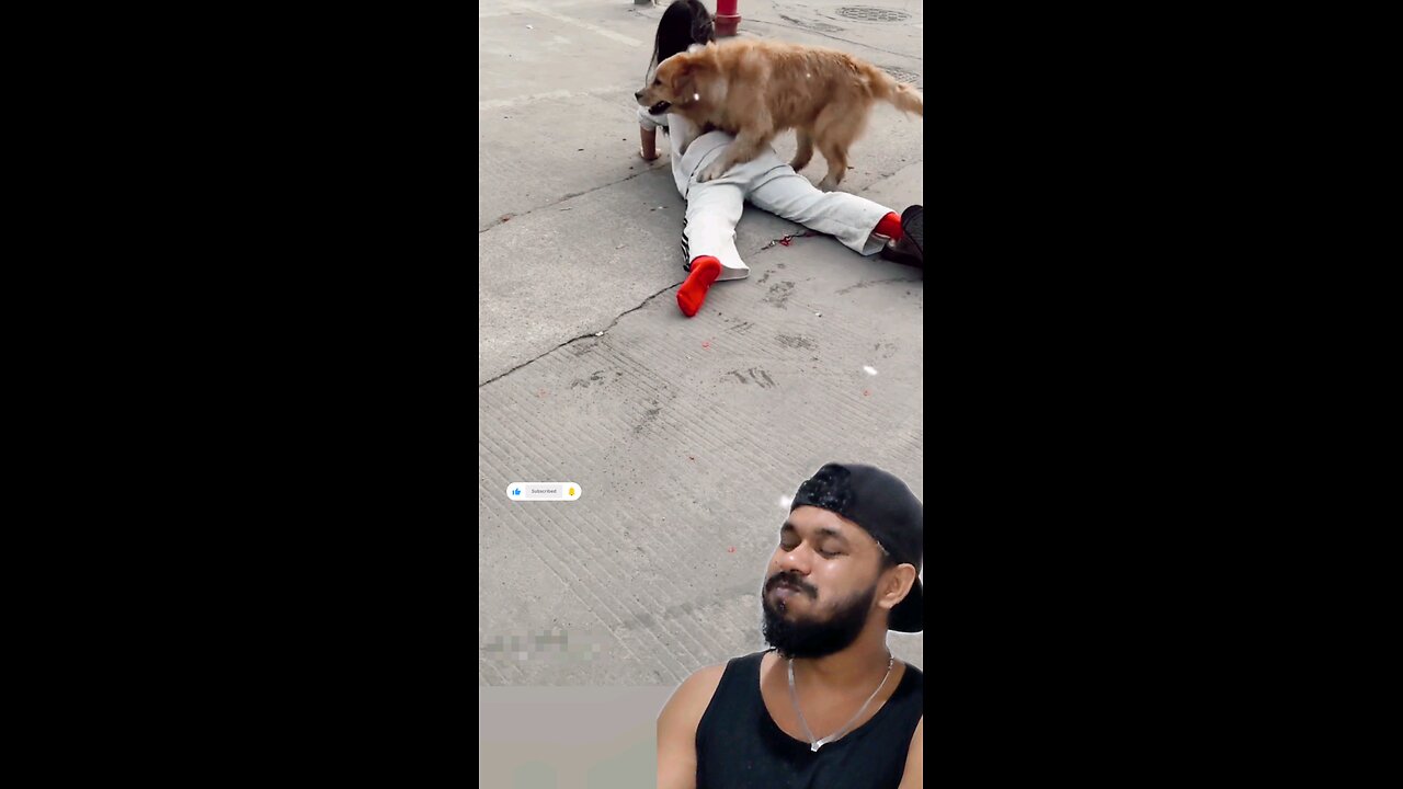 trynottolaugh part 41