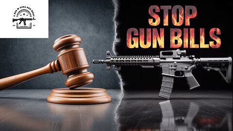 Can You Really Stop Bad Gun Laws in Your State?