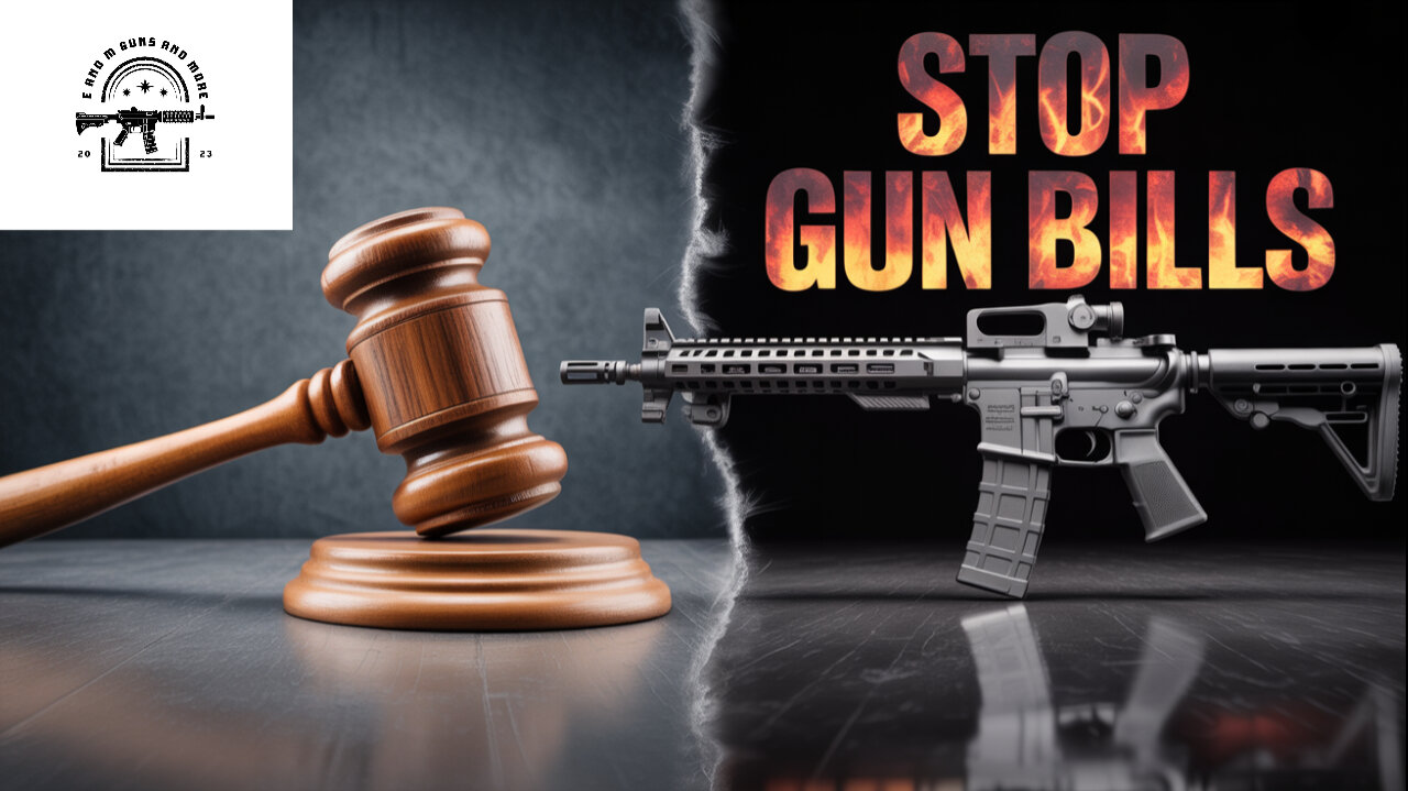 Can You Really Stop Bad Gun Laws in Your State?