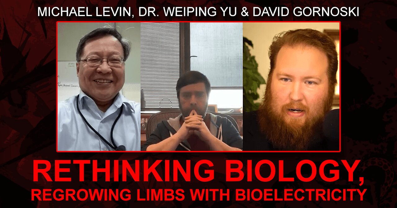 Michael Levin on Rethinking Biology, Regrowing Limbs with Bioelectricity w/ Dr Yu