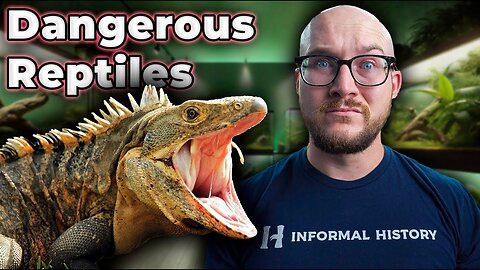 The Most DANGEROUS Reptiles