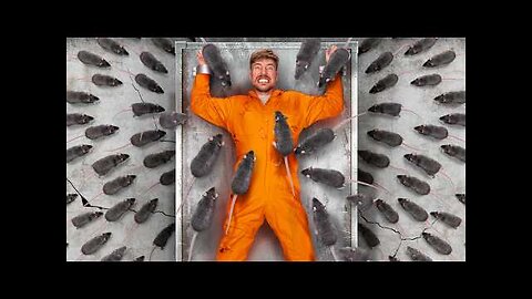 Face Your Biggest Fear To Win $800,000