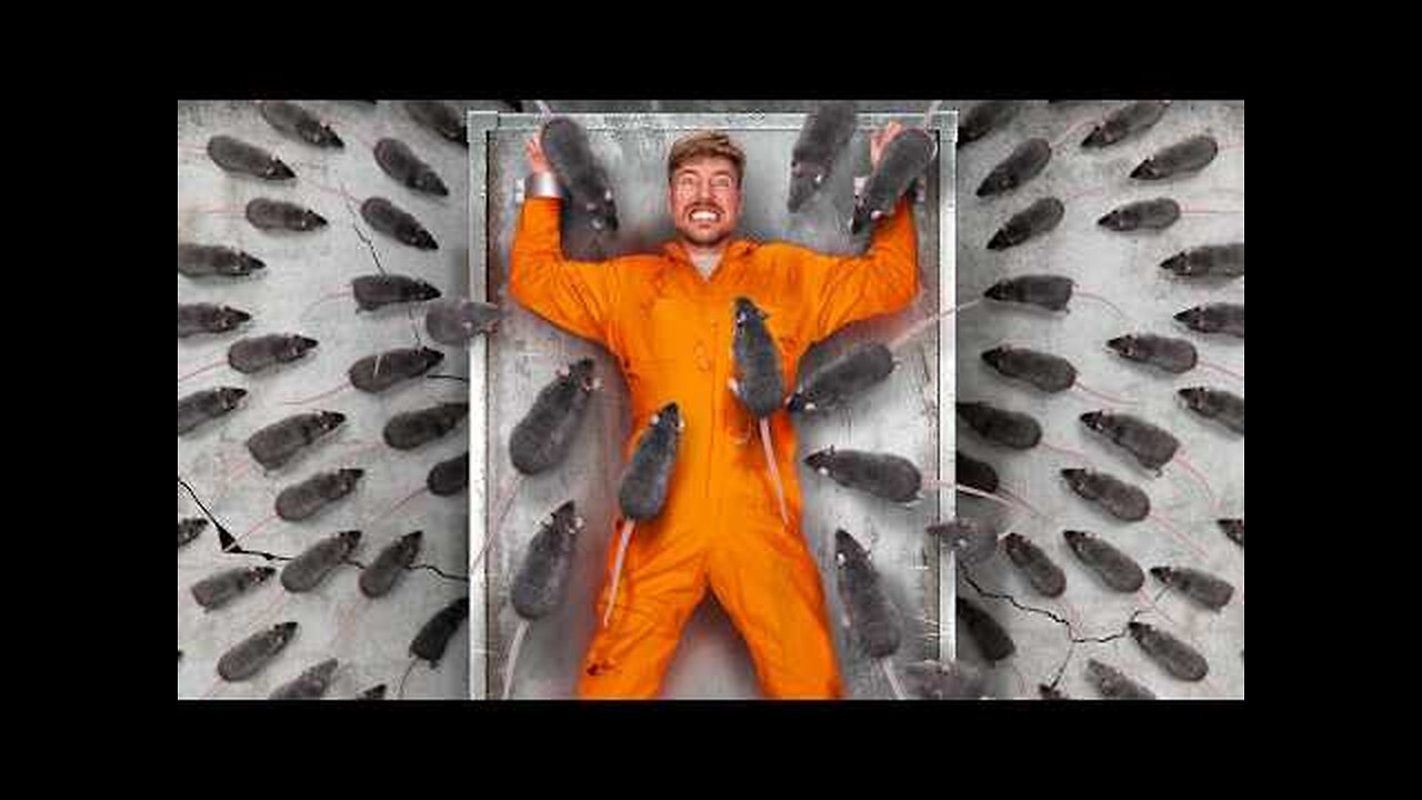 Face Your Biggest Fear To Win $800,000