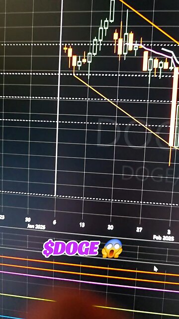 $DOGE😱