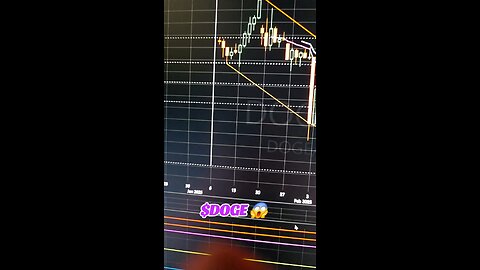 $DOGE😱