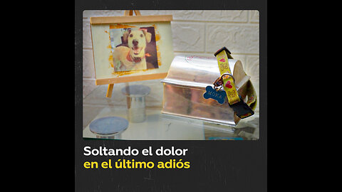 Palomas mensajeras: ritual de despedida y consuelo