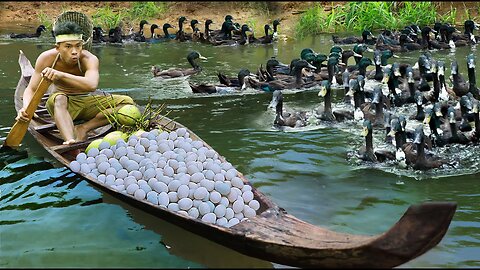 survival in the rainforest find lots of egg duck & cook duck with coconut Eating delicious