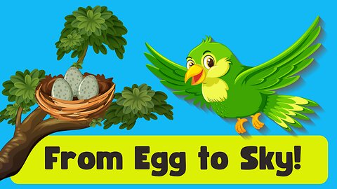 From Egg to Air: How Birds Grow Wings and Fly! 🐣🕊️