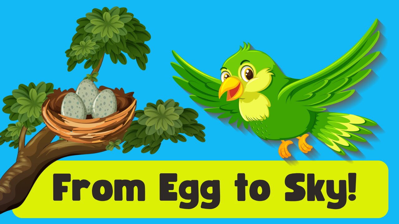 From Egg to Air: How Birds Grow Wings and Fly! 🐣🕊️