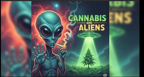 Cannabis Corner Appearance