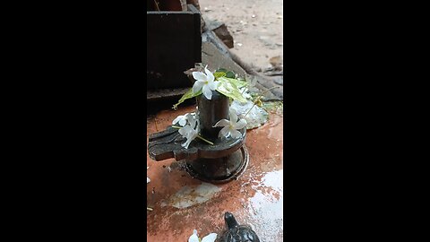 shiv puja
