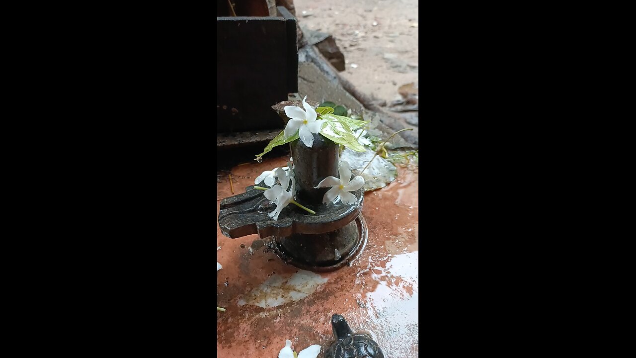 shiv puja