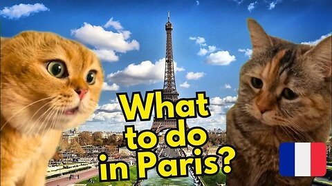 What Do Cats Do When They Are in Paris (Ep.14)