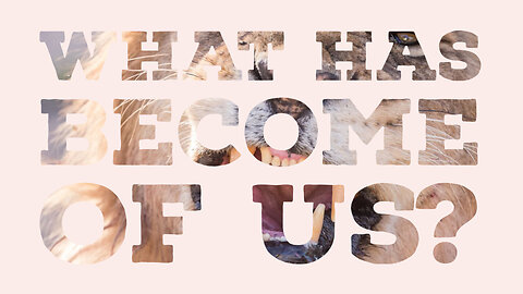 What Has Become of Us? (narrated) [JT #22]