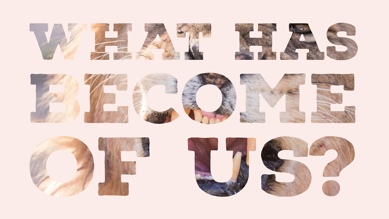 What Has Become of Us? (narrated) [JT #22]