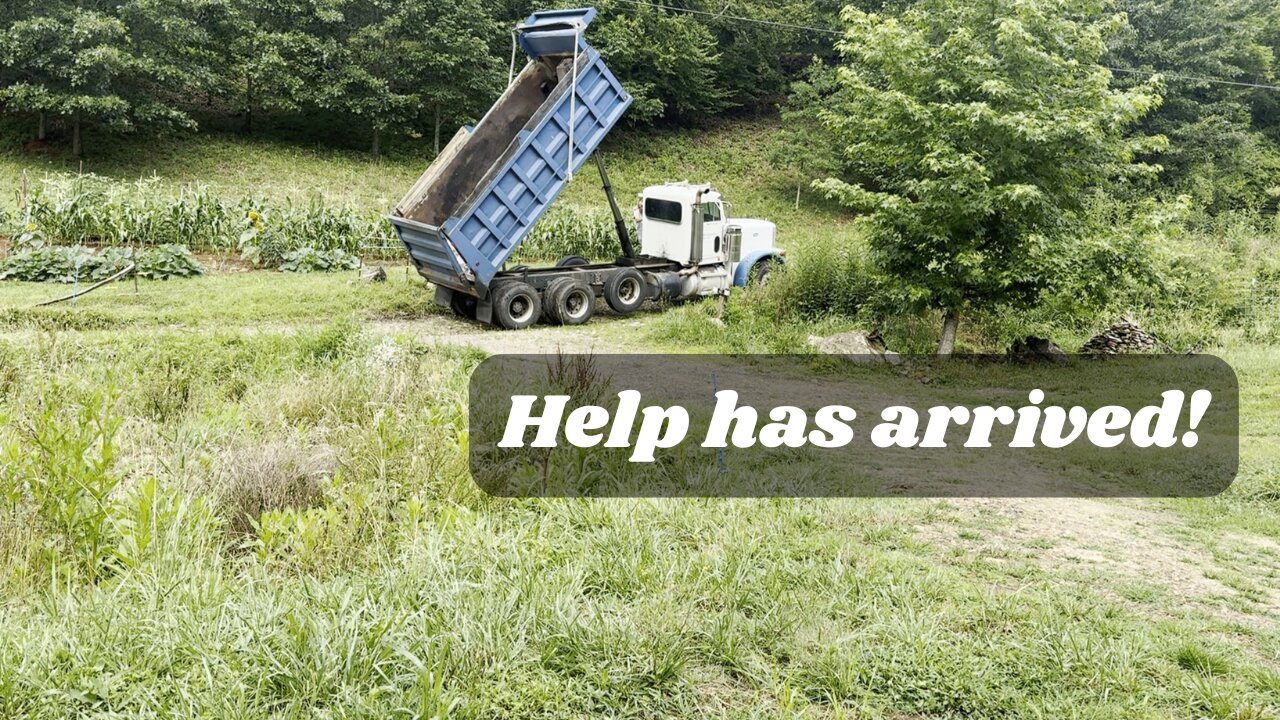 Don't Look to the Government for Help