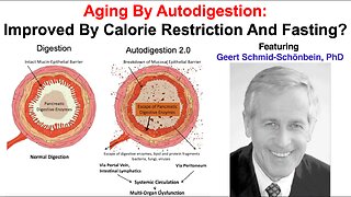 Aging By AutoDigestion: Improved By Calorie Restriction And Fasting?