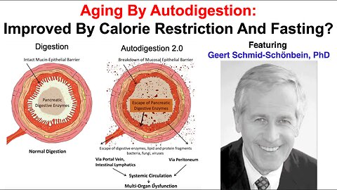 Aging By AutoDigestion: Improved By Calorie Restriction And Fasting?