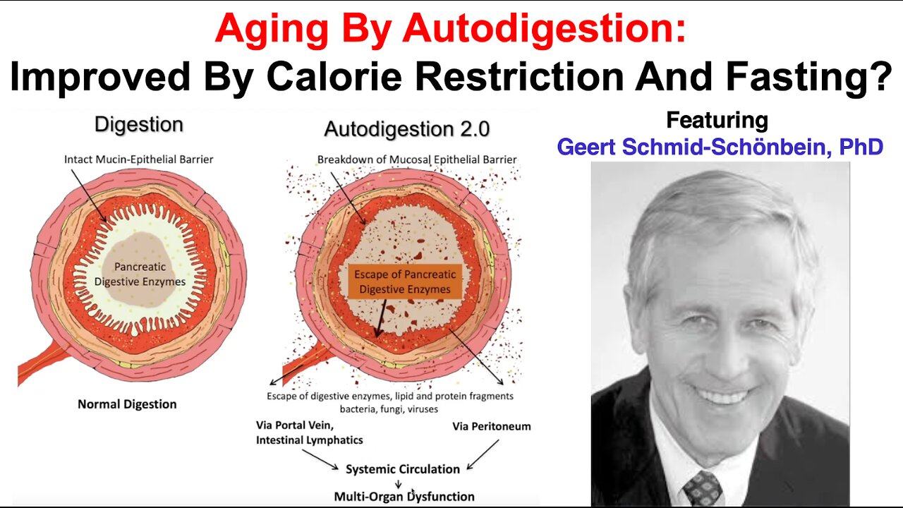 Aging By AutoDigestion: Improved By Calorie Restriction And Fasting?